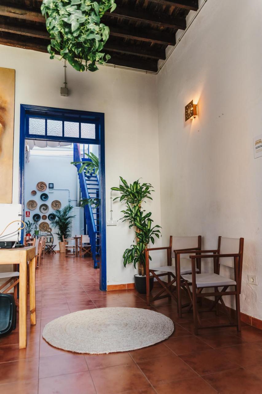 Ashavana Nest Hostel El Médano Zewnętrze zdjęcie