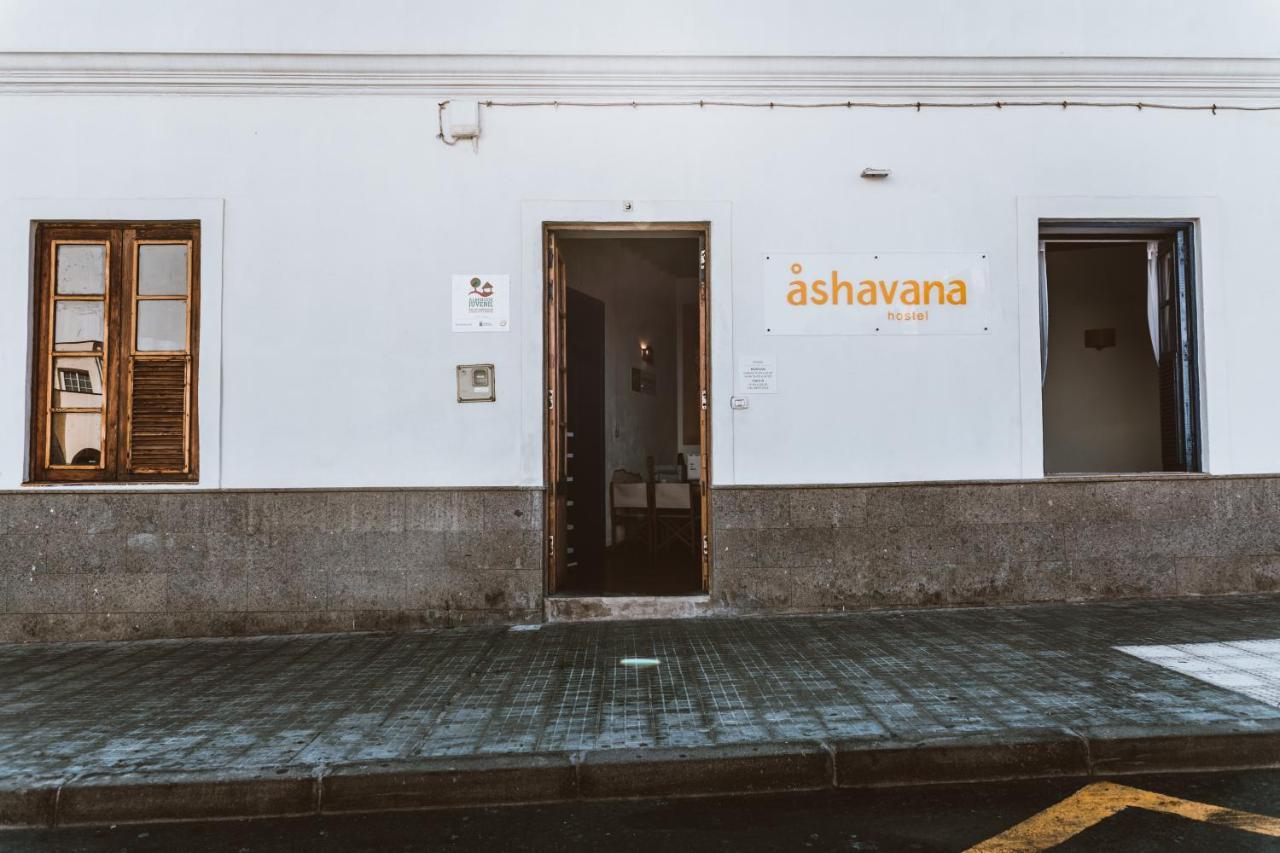 Ashavana Nest Hostel El Médano Zewnętrze zdjęcie